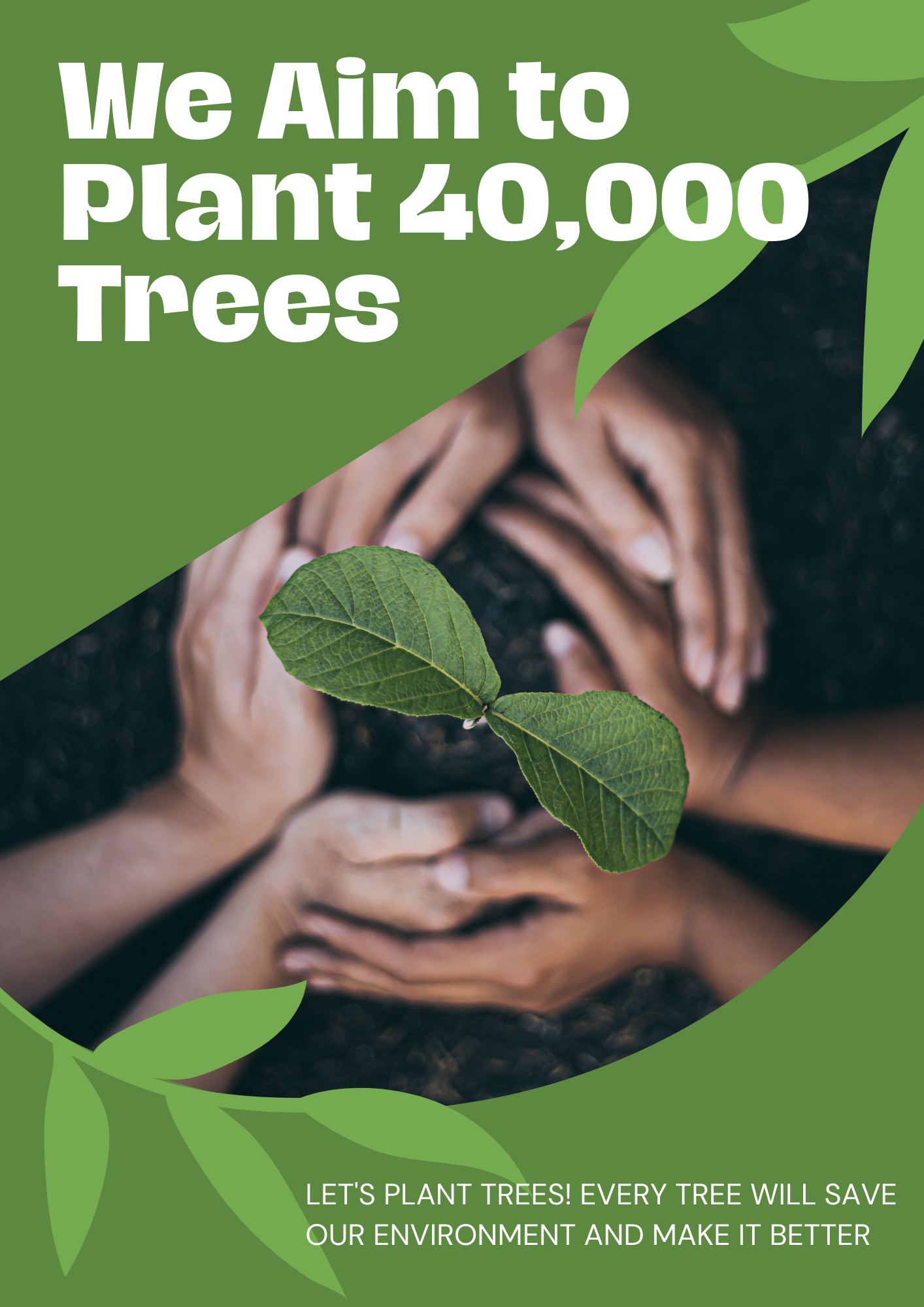 We are growing Indiginous Seedlings to restore our water catchment areas